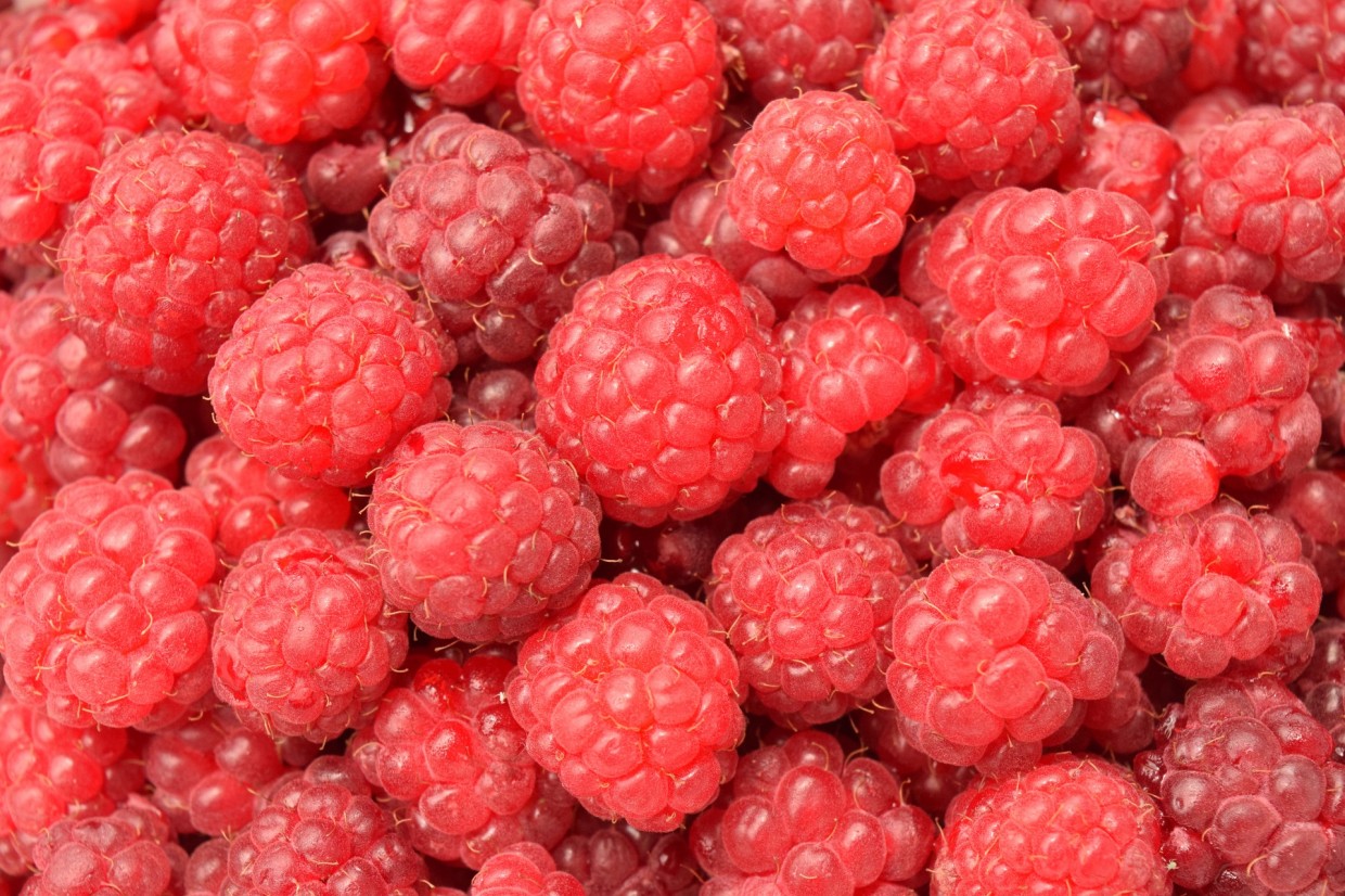 raspberries.jpg