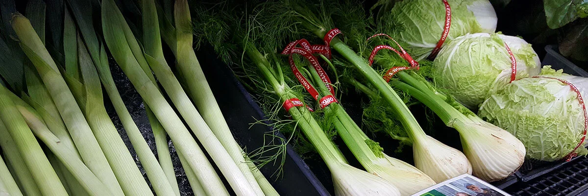 Tipi Produce
