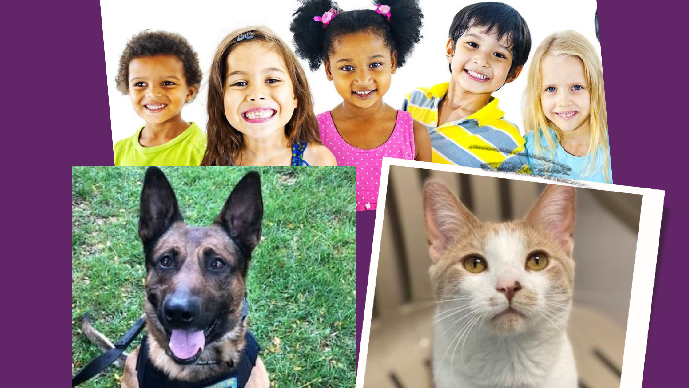 The Numbers Are In...