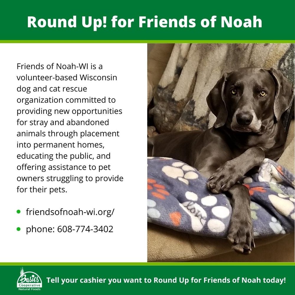 Round Up Friends of Noah.jpg