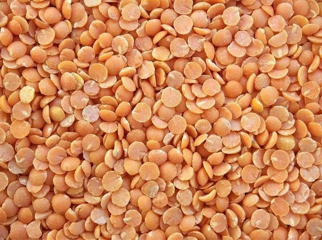 lentils.jpg