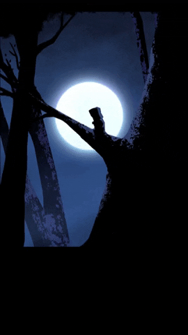 Animated GIF-downsized_large-20.gif