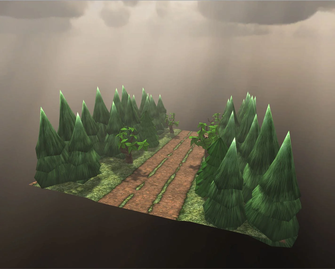 Forest Ramp Down.JPG