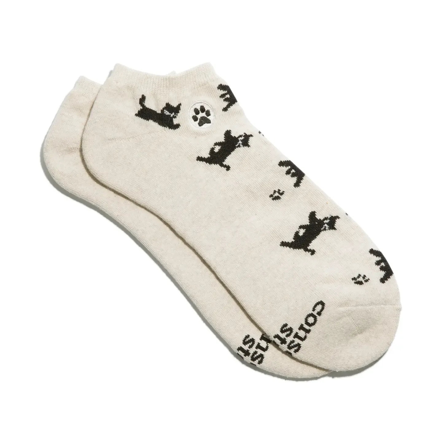 beige cat - Copy.webp