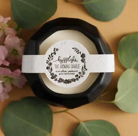 Hyggelight Image.png