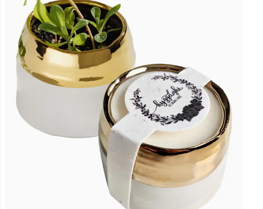 Hyggelight Clara.png