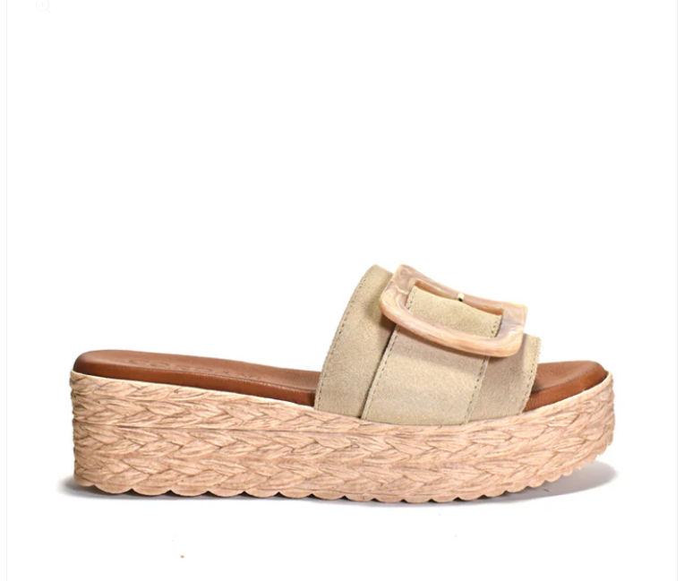 Screenshot 2026-02-26 at 13-04-04 Beckett – Cordani.png