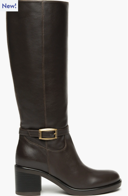 Screenshot 2025-09-11 at 12-41-43 NeroGiardini Tall Buckle Boot (Women) Nordstrom.png