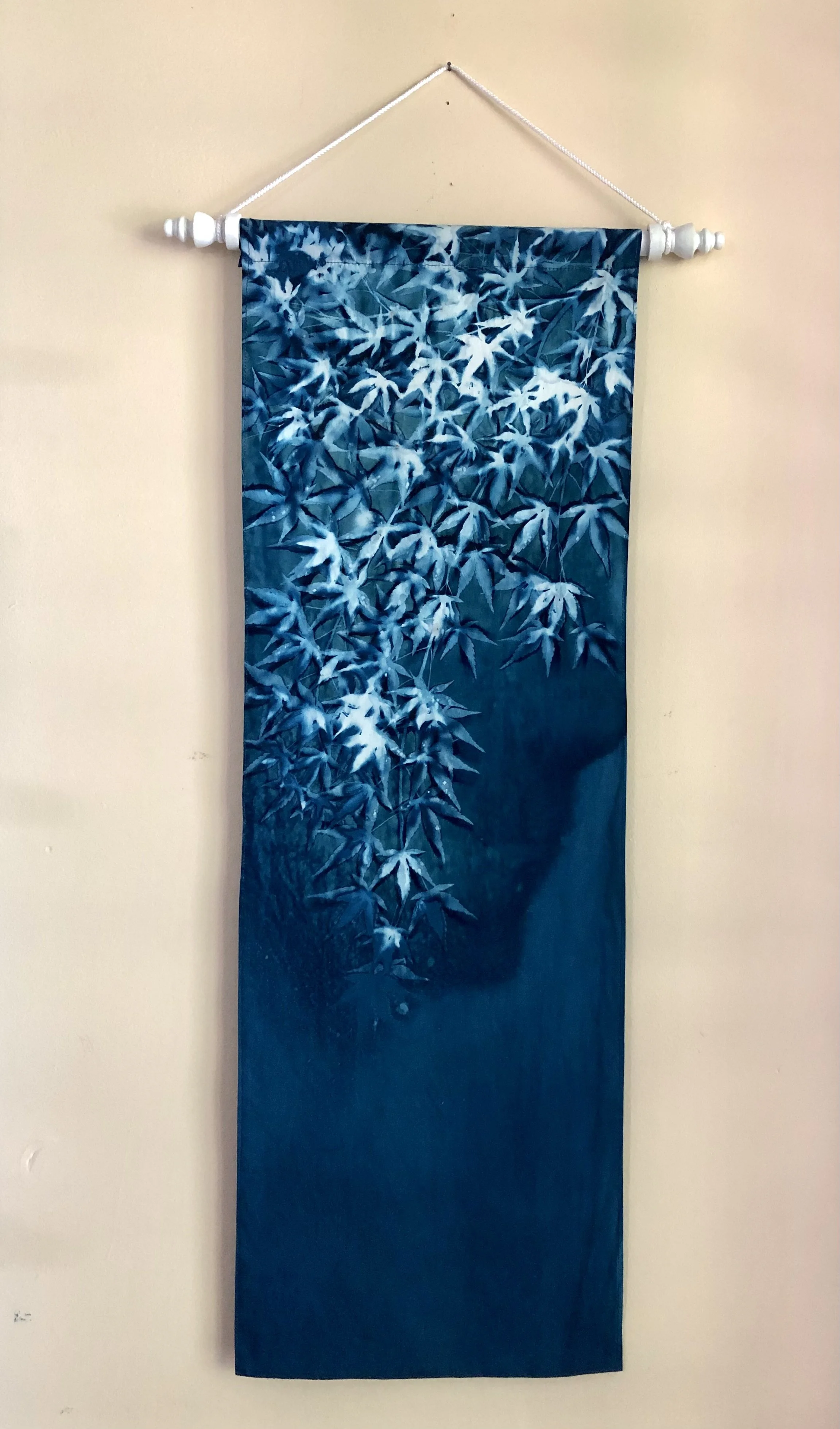 IMG_1699 - Patricia Gilmartin.jpeg