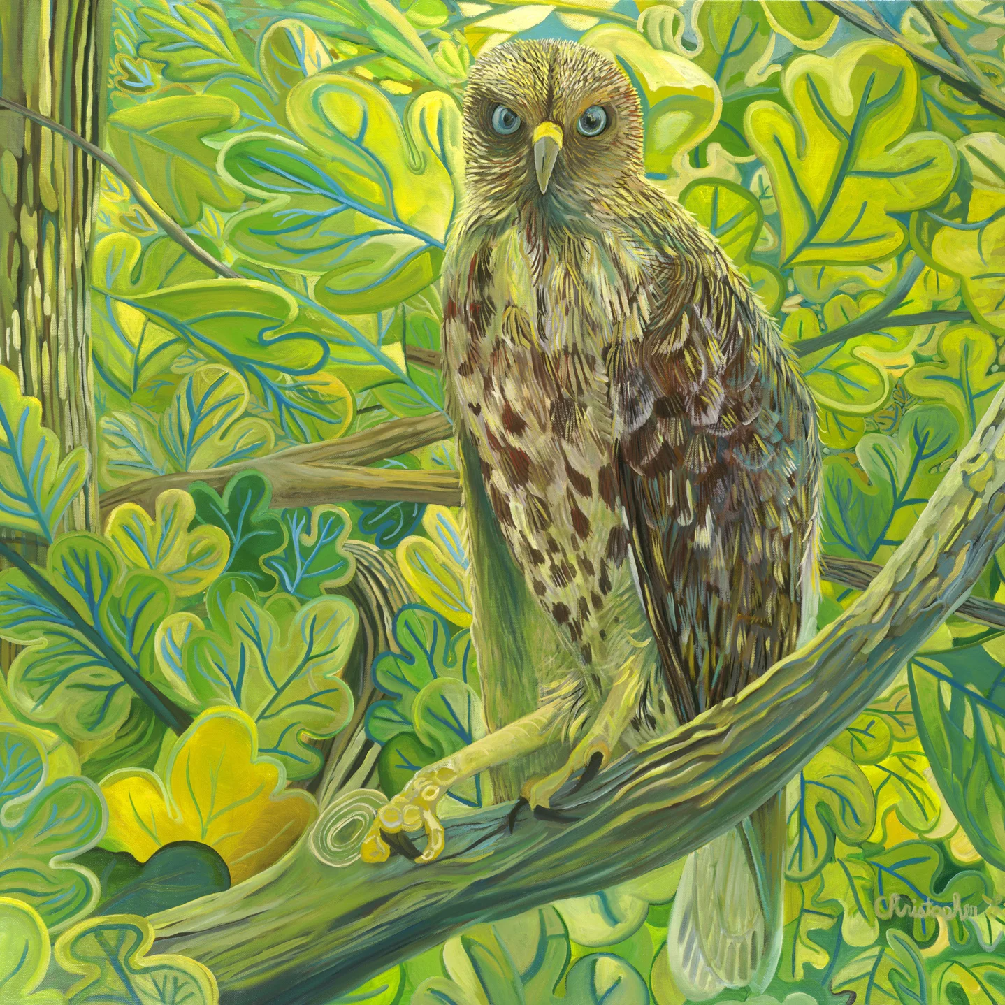 The Hawk, Oil on Canvas, 30" x 40"