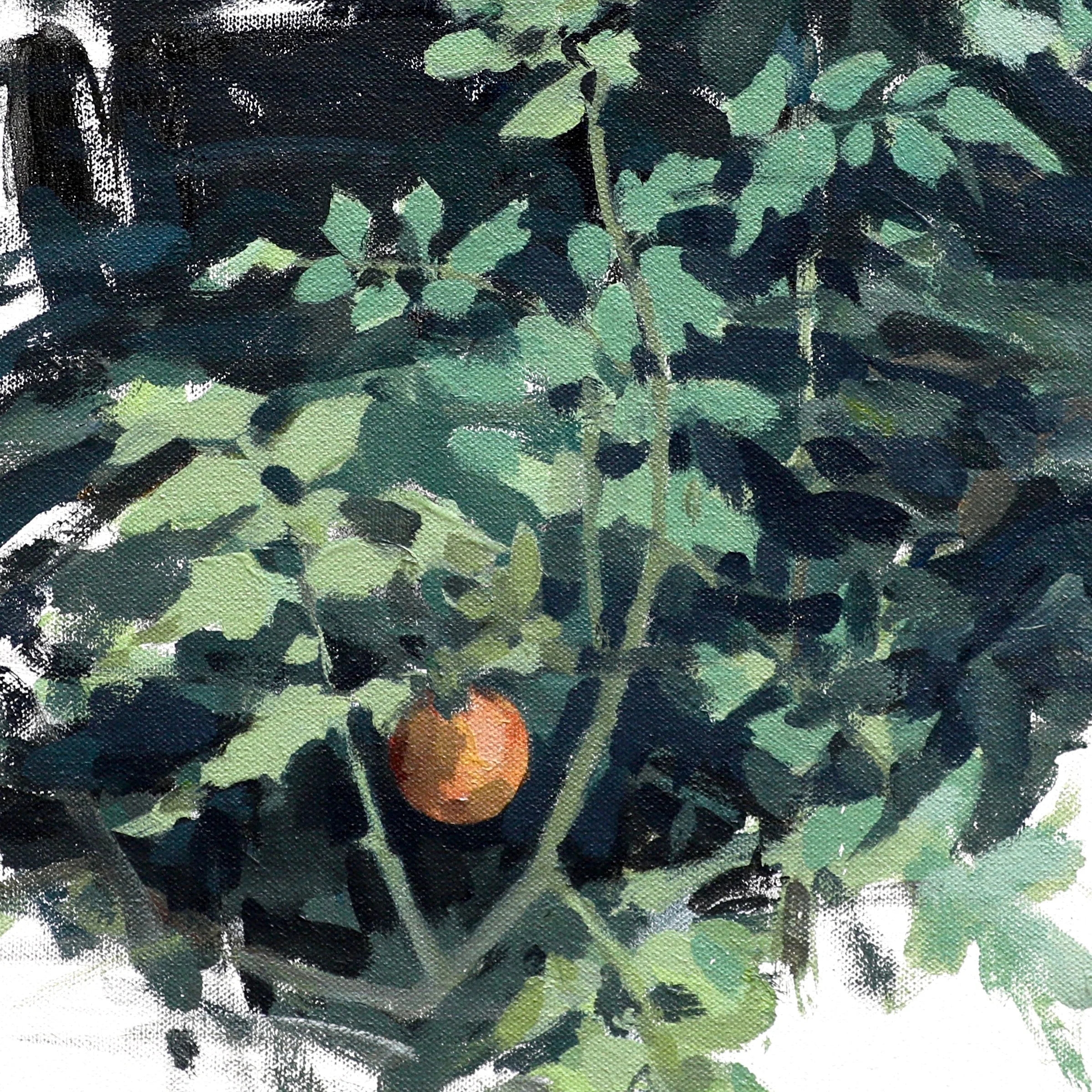 Last Tomato, Acrylic on Canvas, 20” x 20”