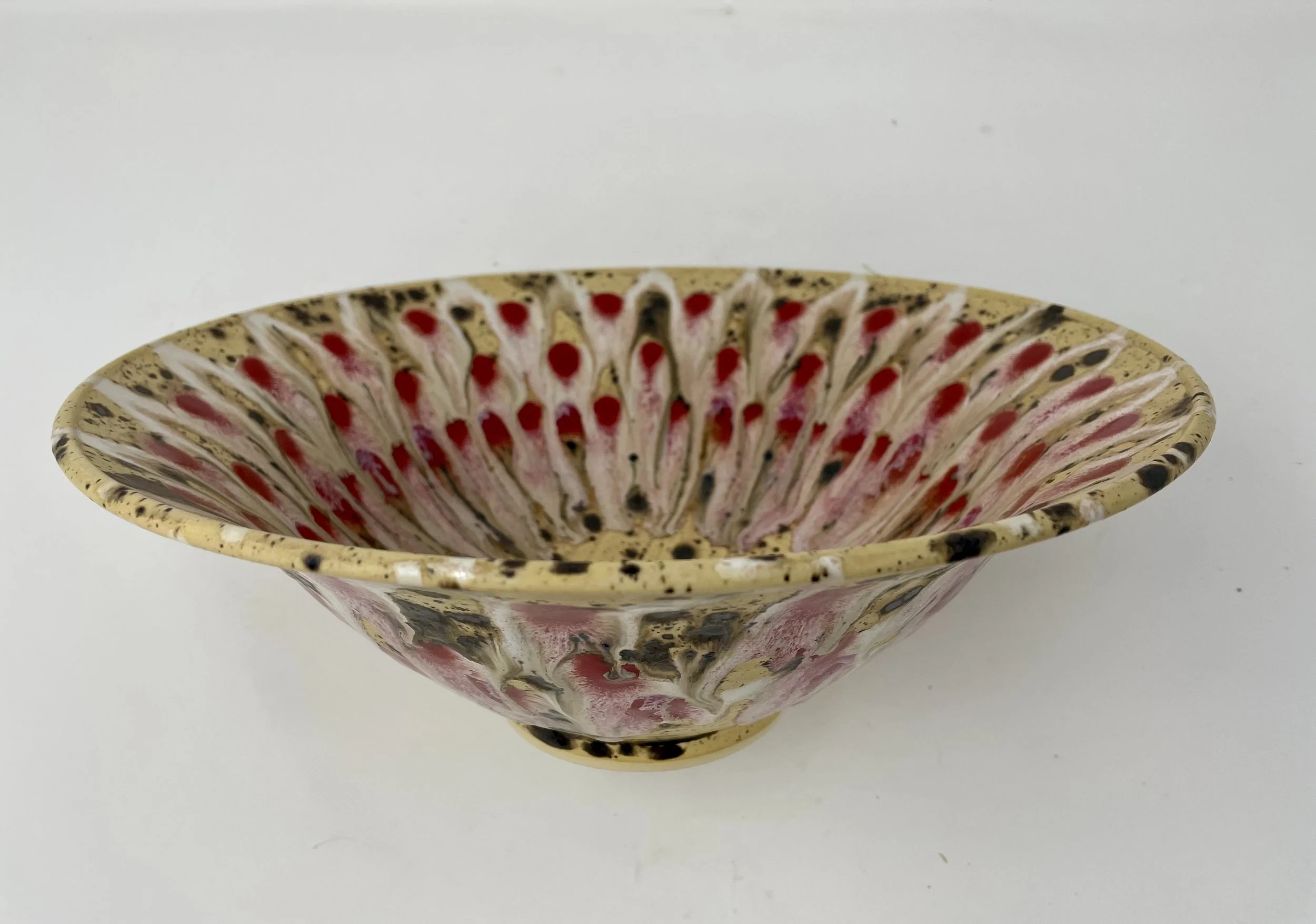 IMG_0274 - Elizabeth Edwards.jpeg