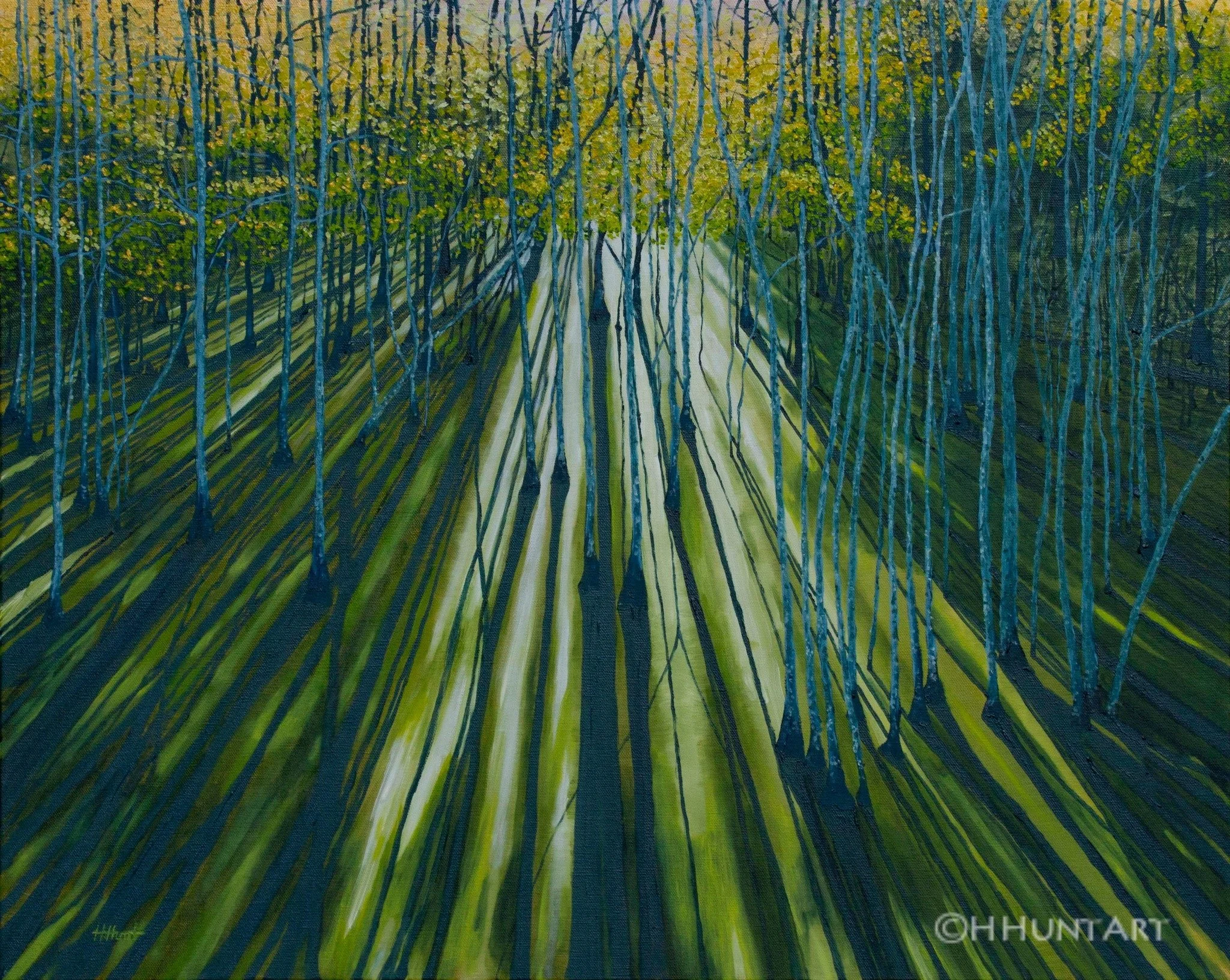 Fall - Congaree  - Howard Hunt.jpeg