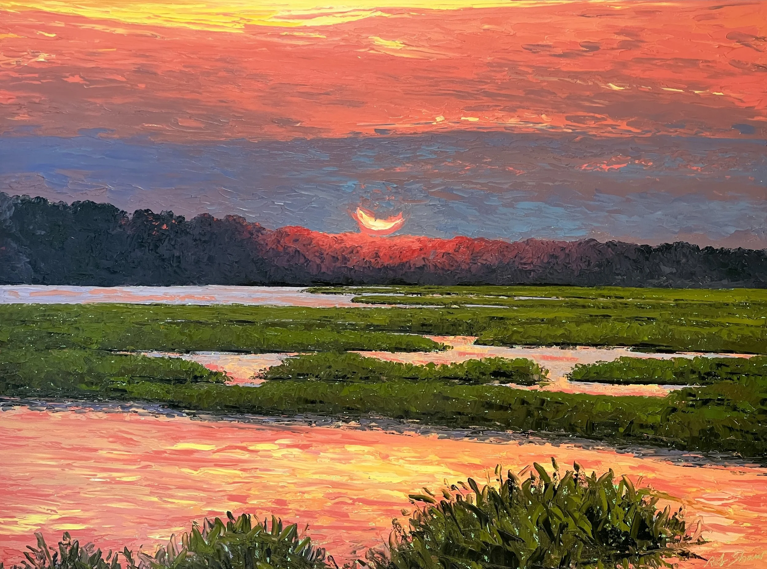 FullSizeRender - Rob Shaw.jpeg