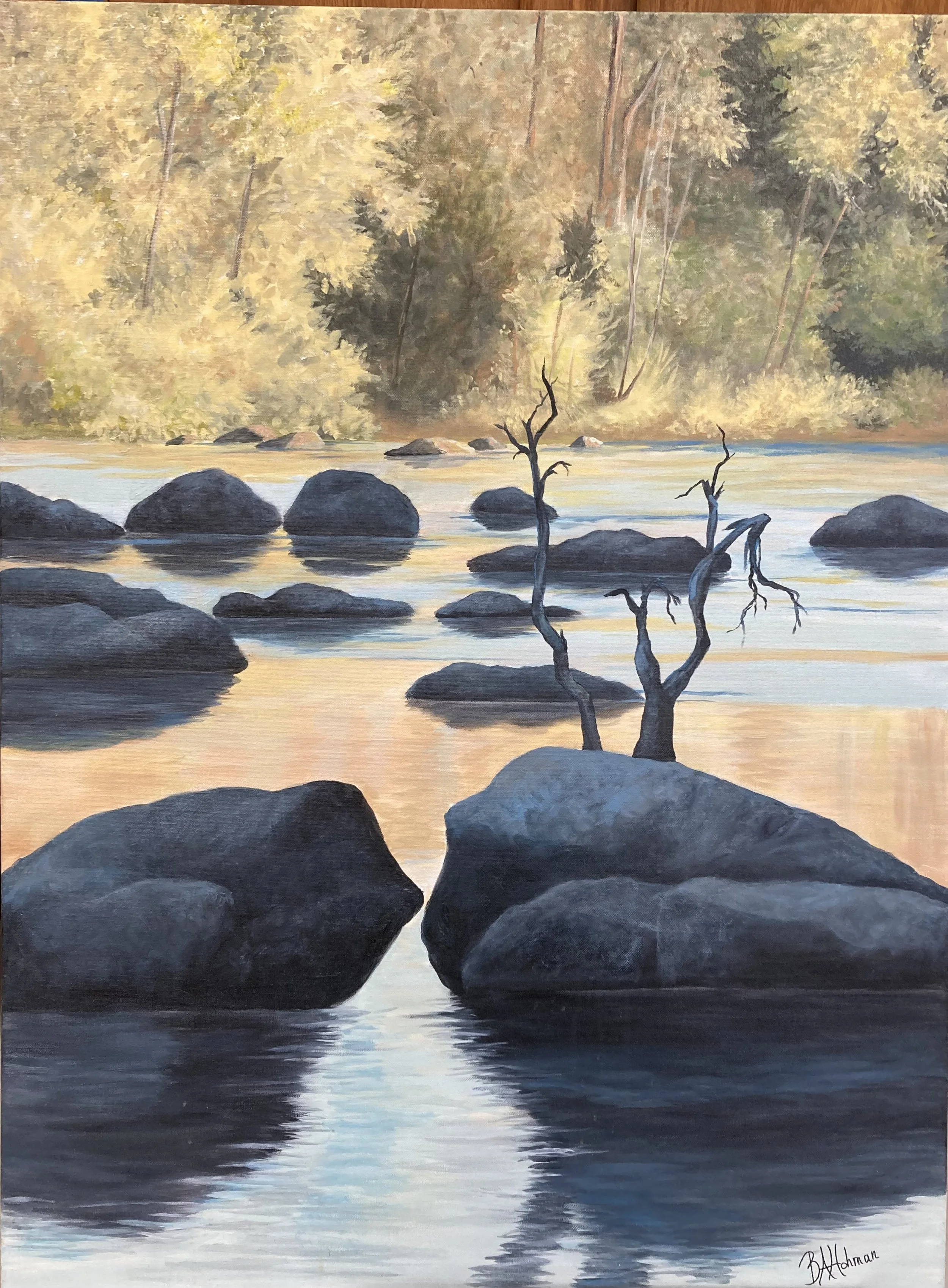 IMG_5491 - BA Hohman.jpeg