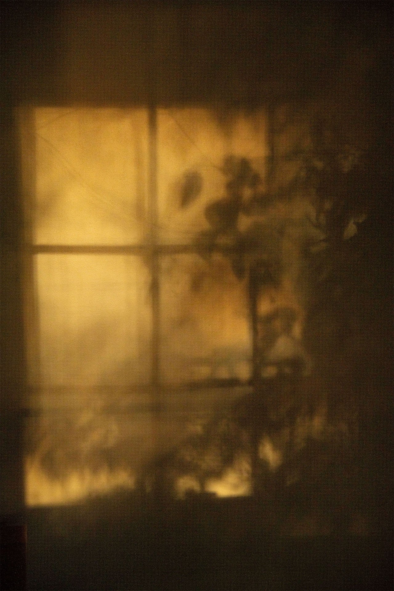 Katy McCormackMorning LIght submission .jpg