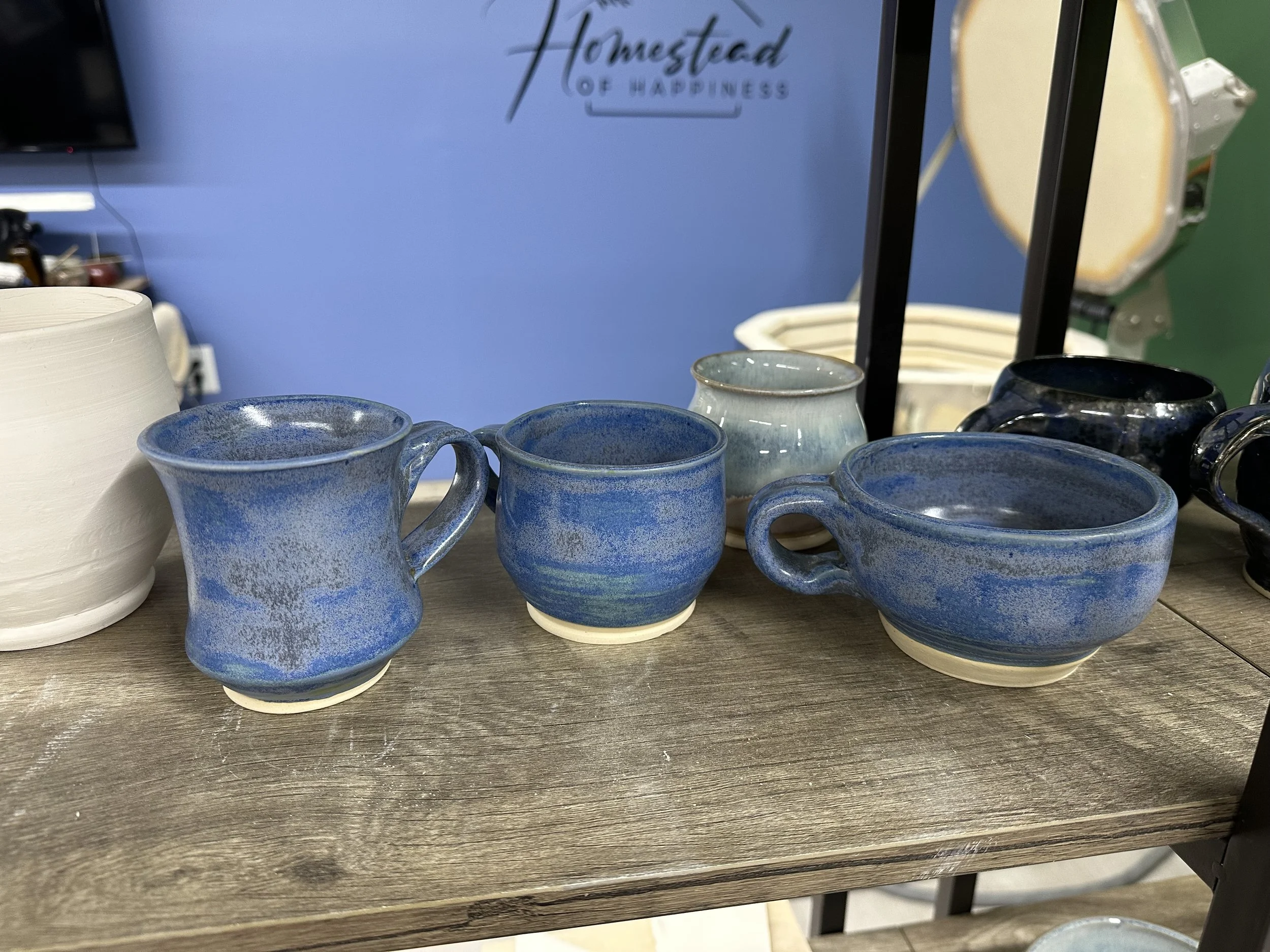 IMG_4624 - Cat Bank.jpeg