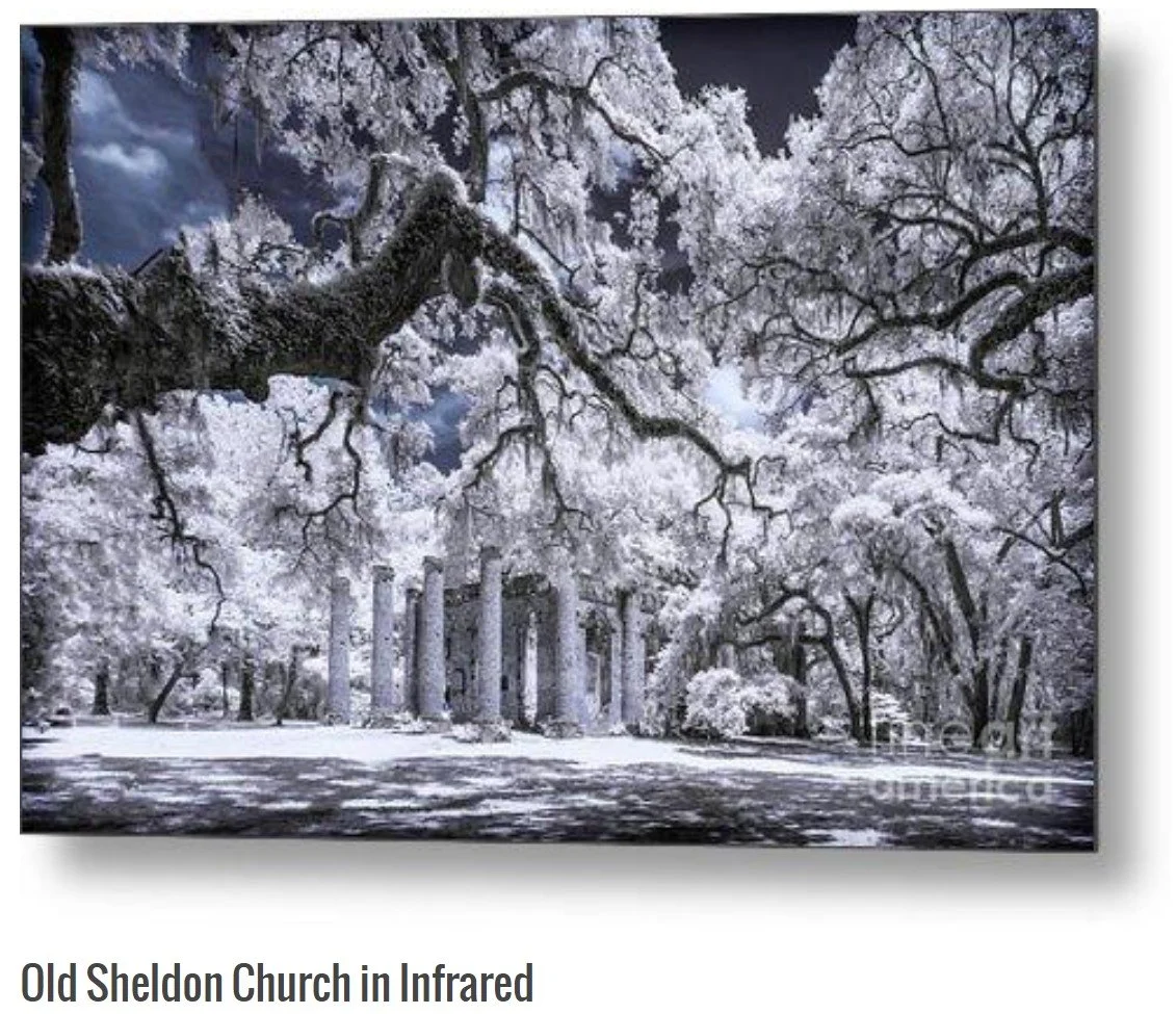 Old Sheldon - Charles Hite.jpg