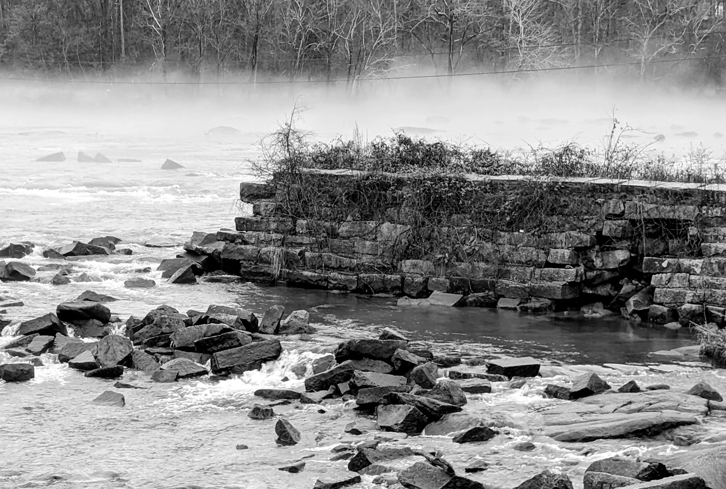 Saluda-3 - Charles Hite.jpg