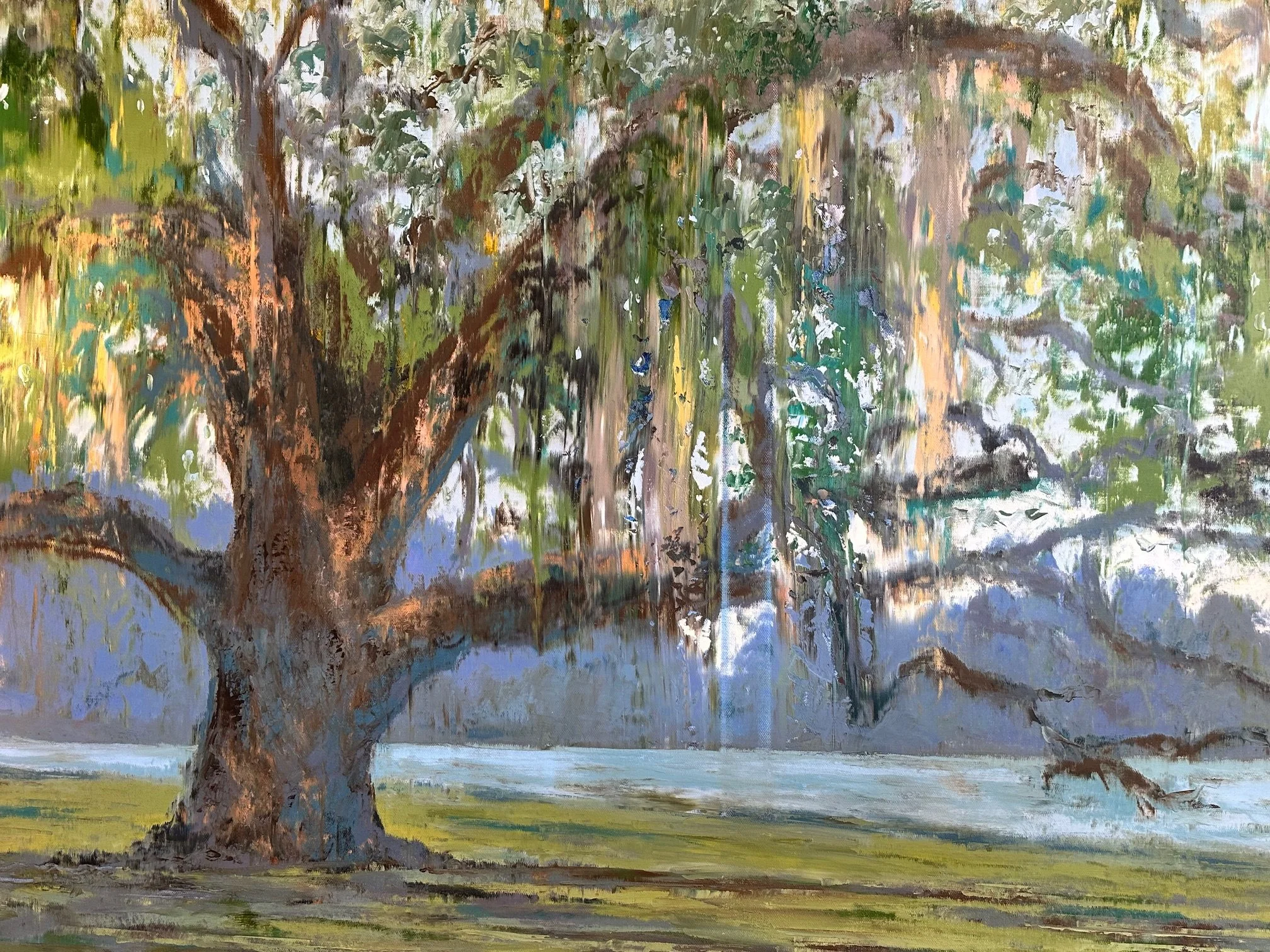 IMG_6638 - Rob Shaw.jpeg