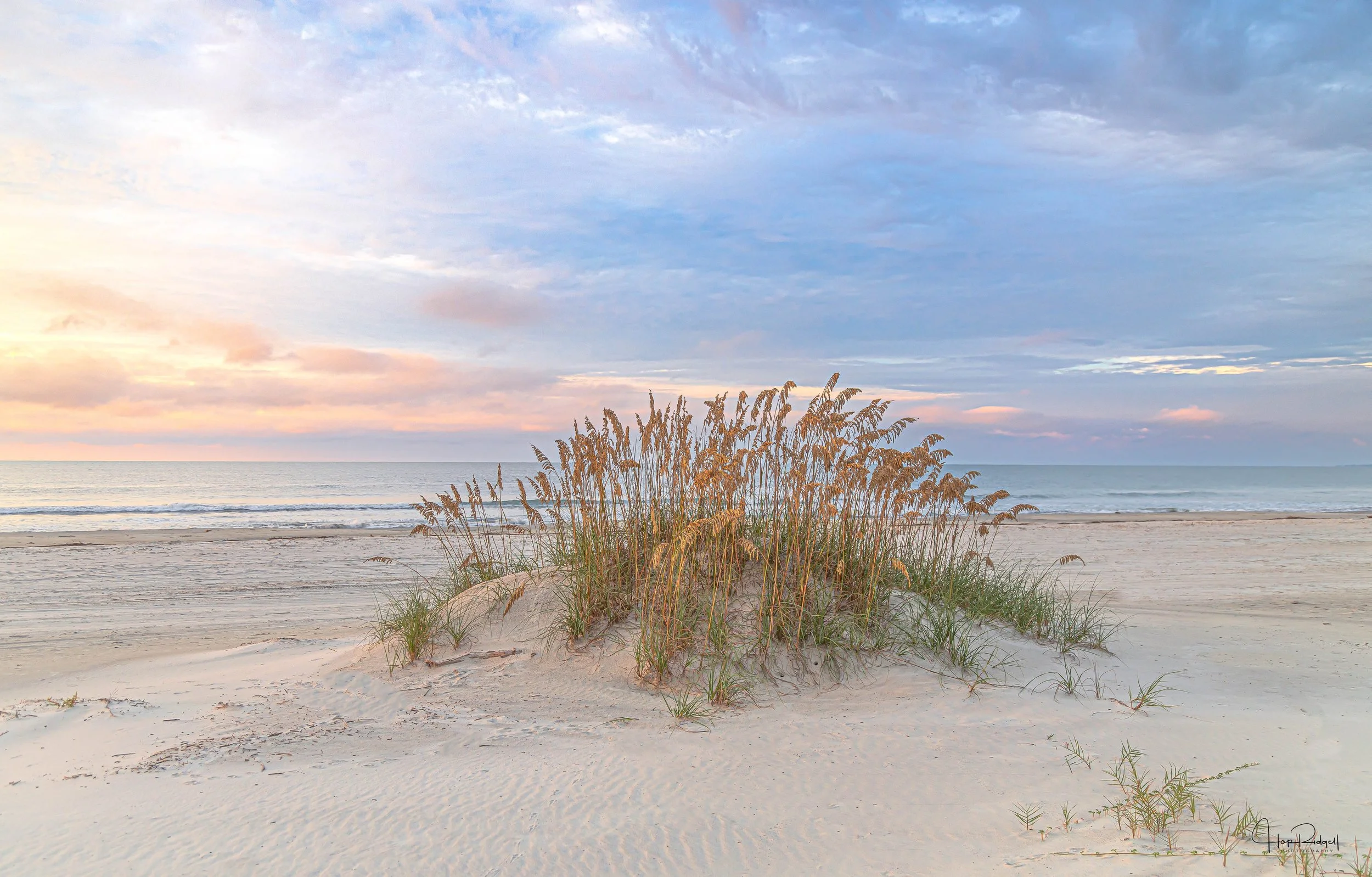 Lone Sand Dune-3365 - Robert Ridgell.jpg