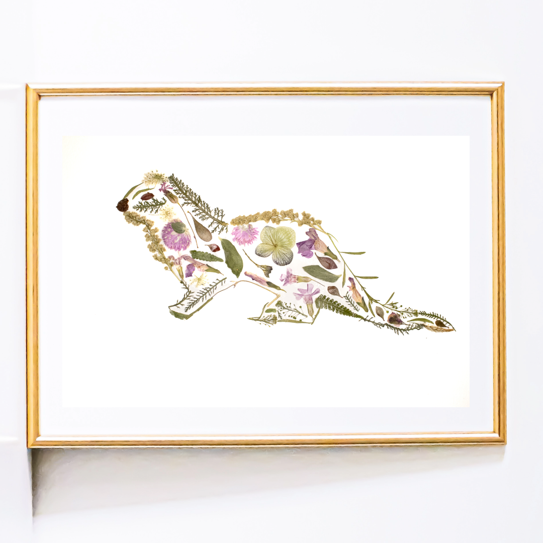 Wildflower Ottor - Vanessa Driscoll.png