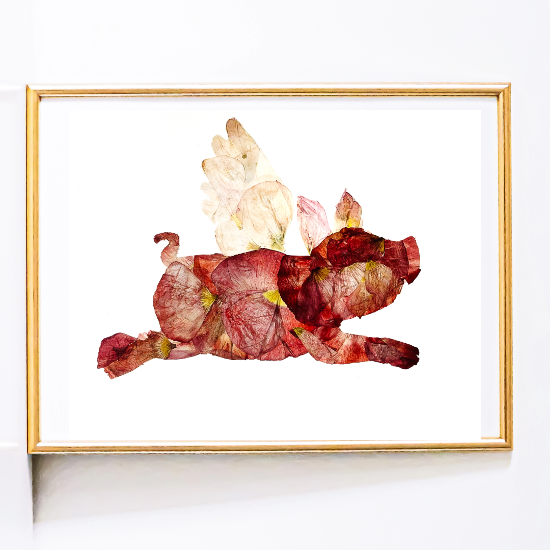 Poppy the Pig  - Vanessa Driscoll.png