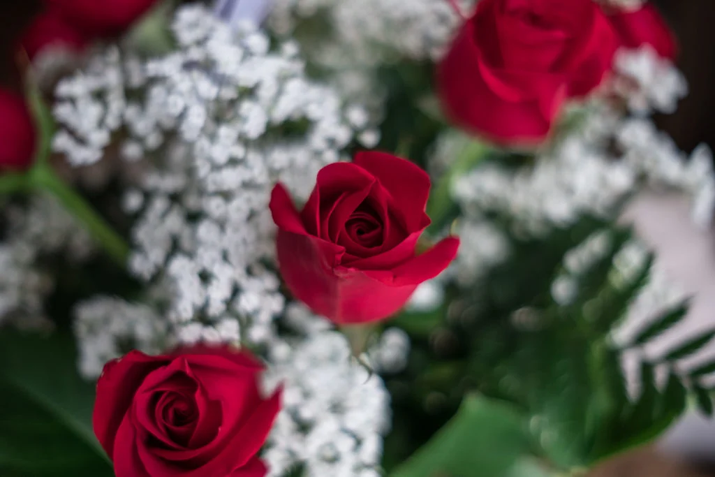 Roses are Red...