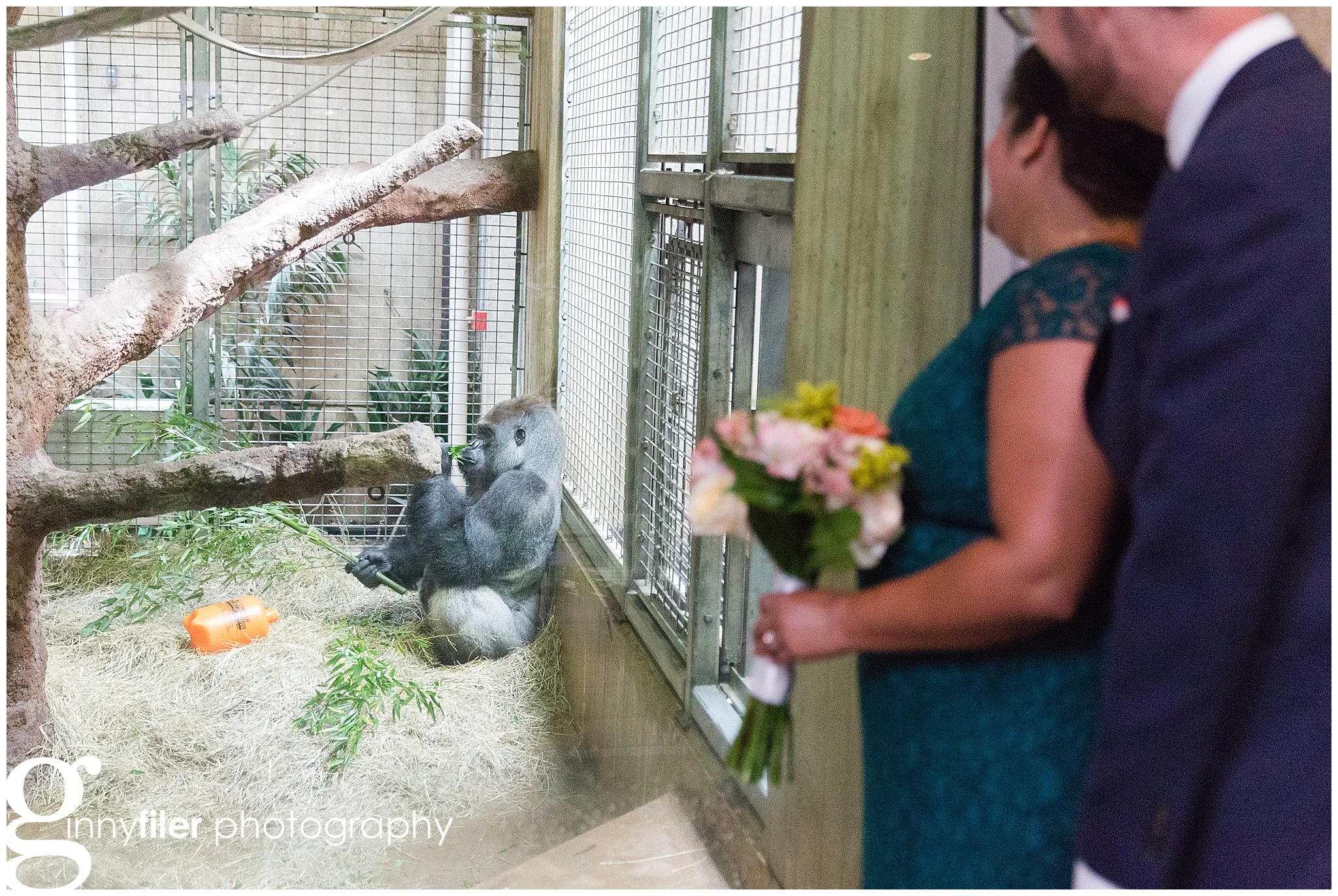 zoo_wedding_RinaandDerek_0030.jpg