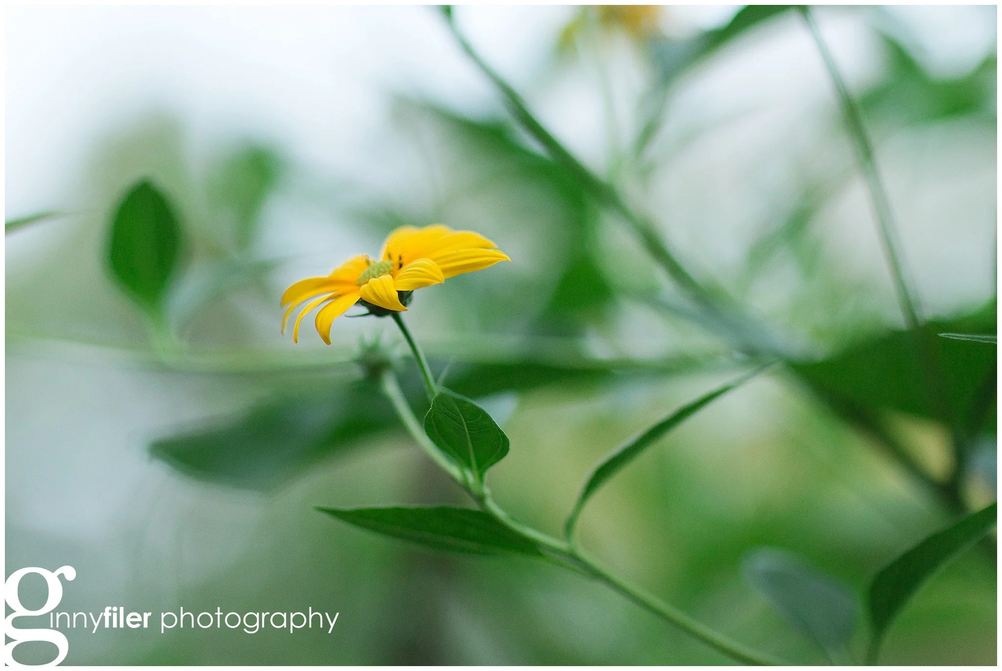 garden_washingtondc_0052.jpg
