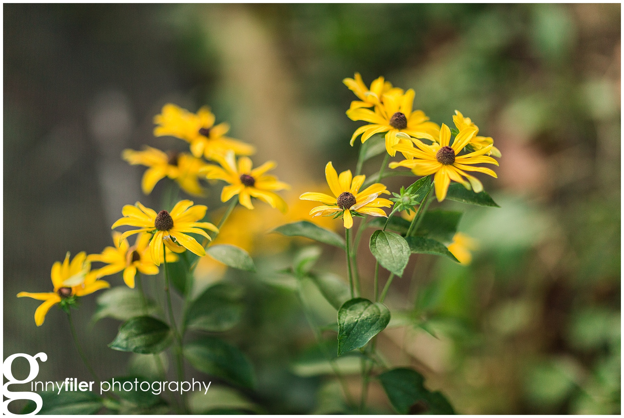 garden_washingtondc_0060.jpg