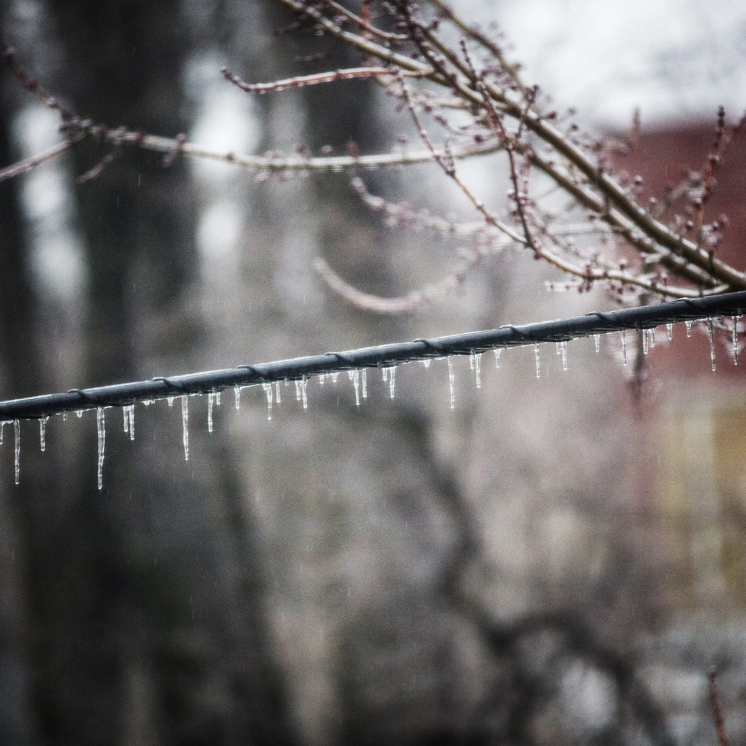 Snow is coming!