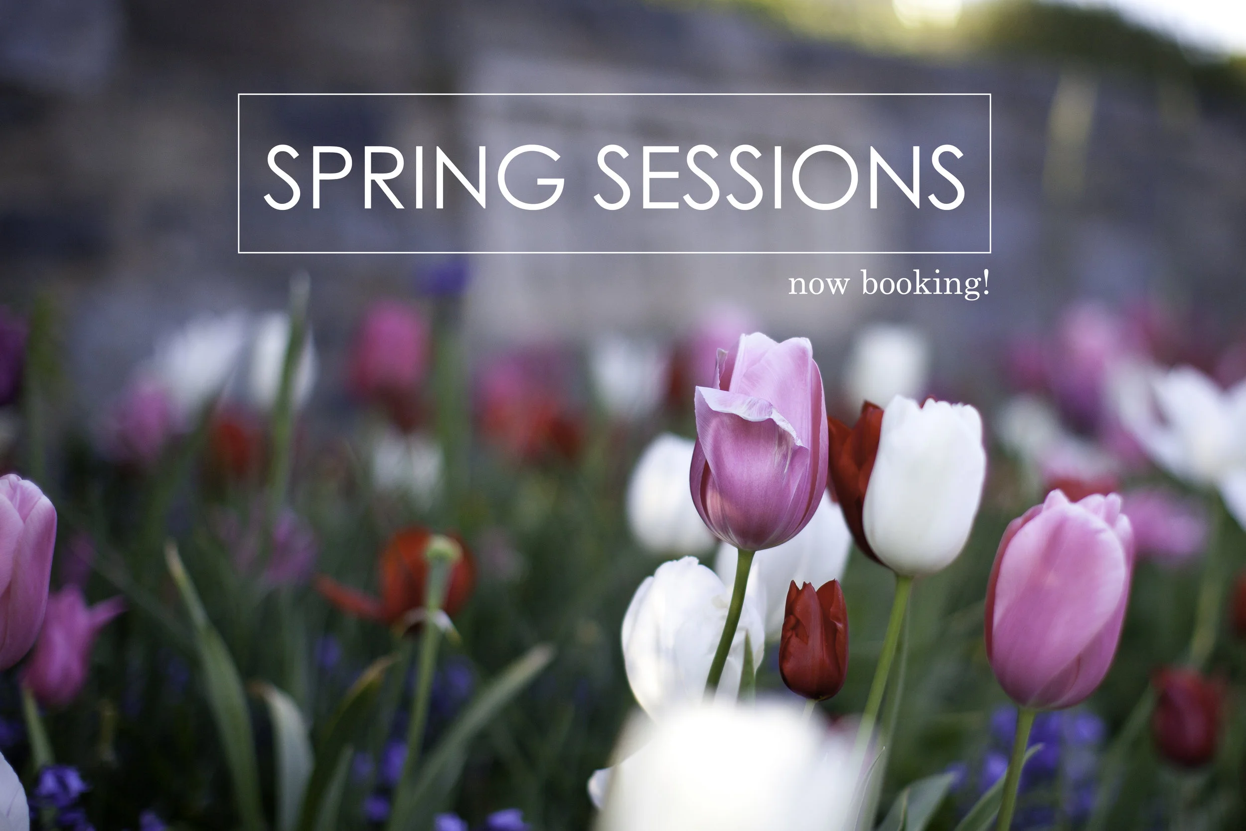 Spring Sessions: Now Booking!