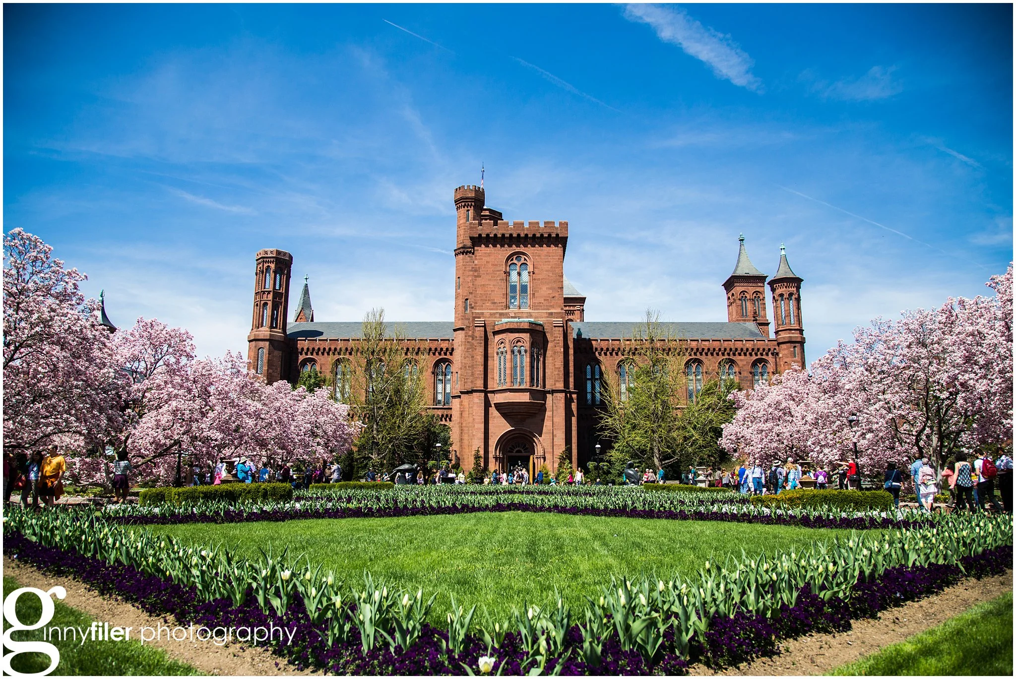 Cherry Blossoms are Coming!
