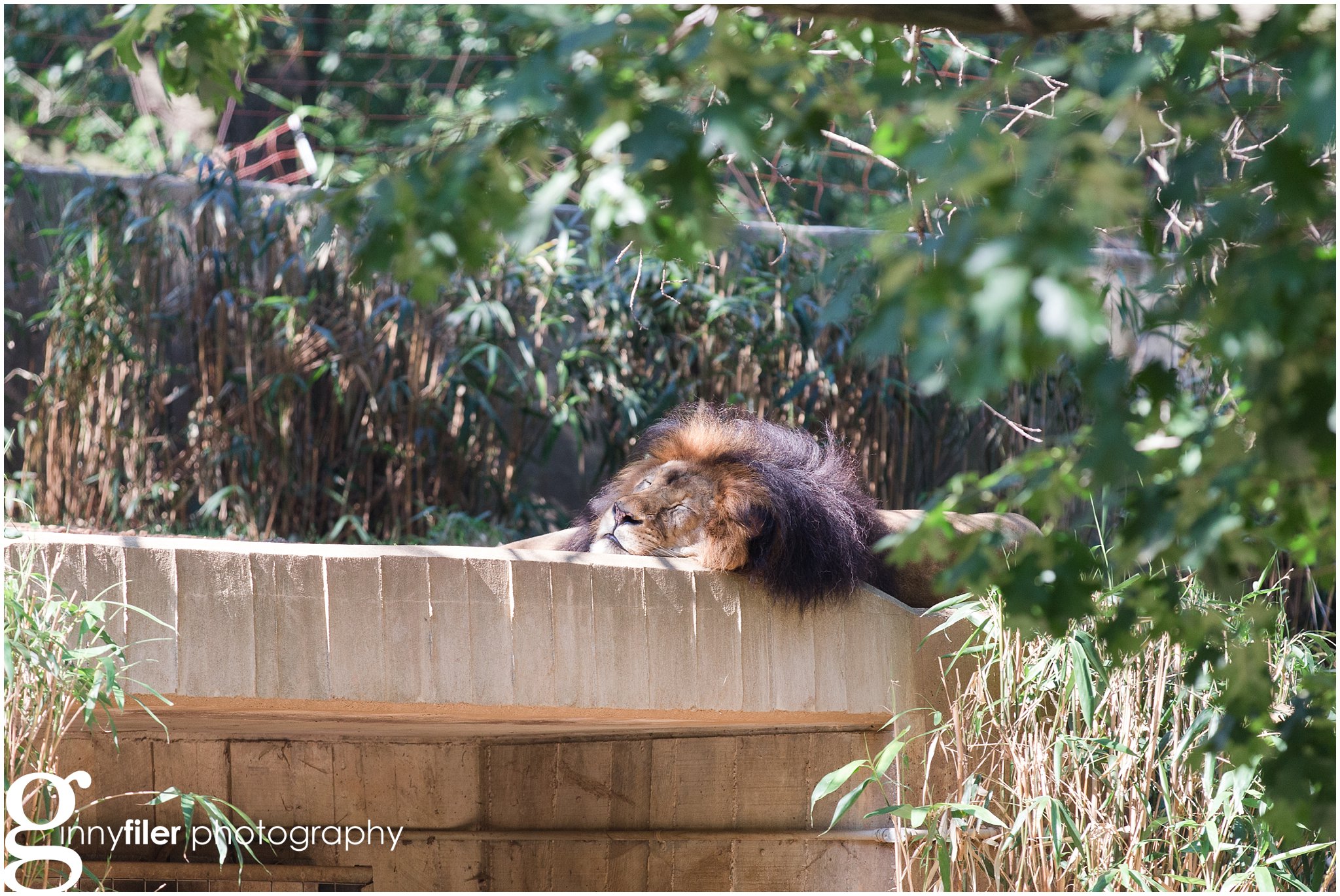 nationalzoo_0015.jpg