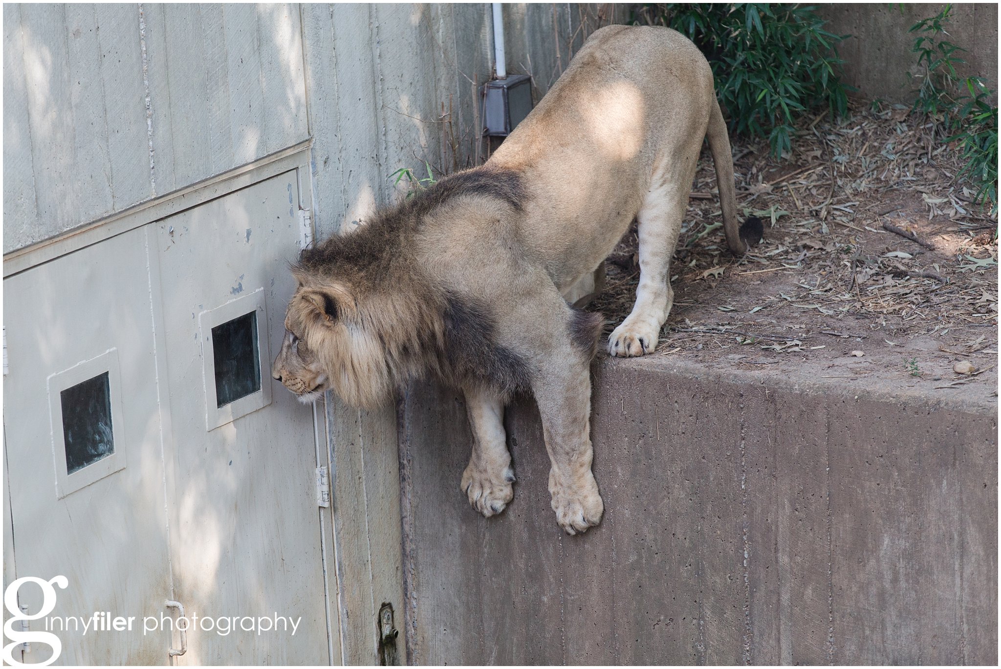 nationalzoo_0017.jpg