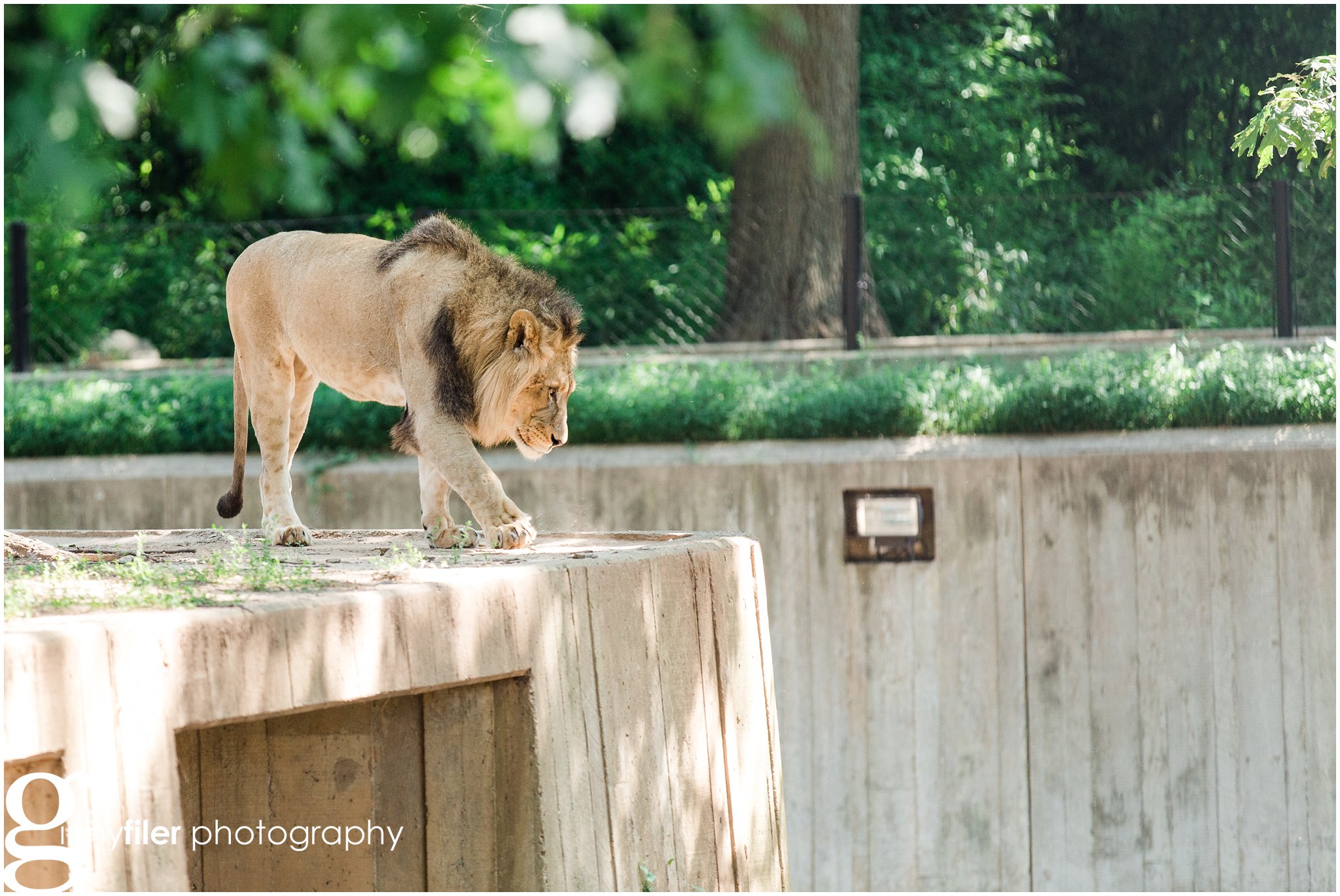 nationalzoo_0021.jpg