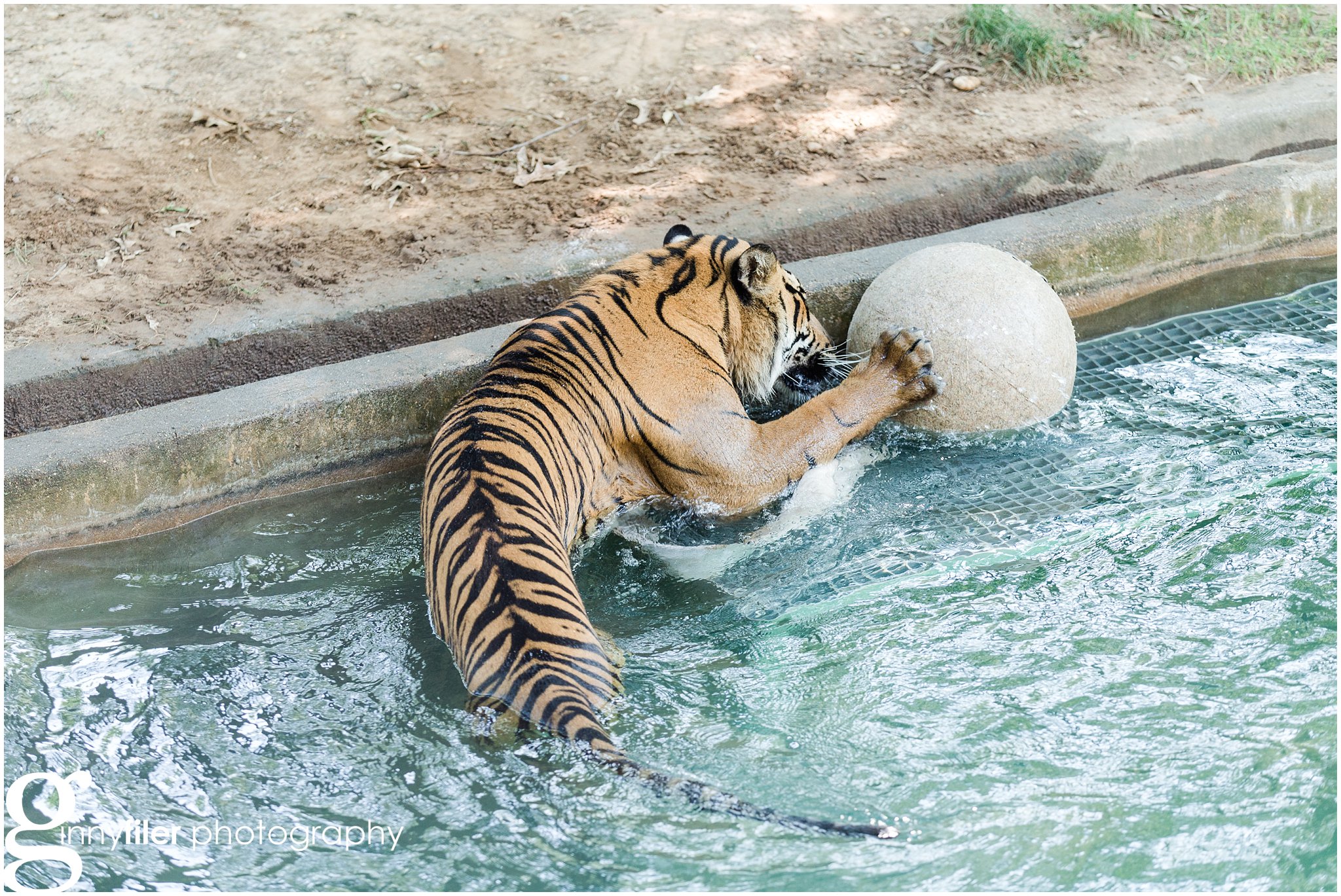 nationalzoo_0028.jpg