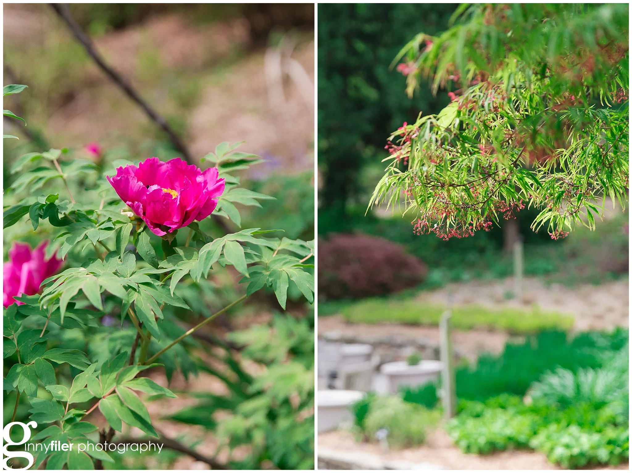 spring_flowers_april_0155.jpg