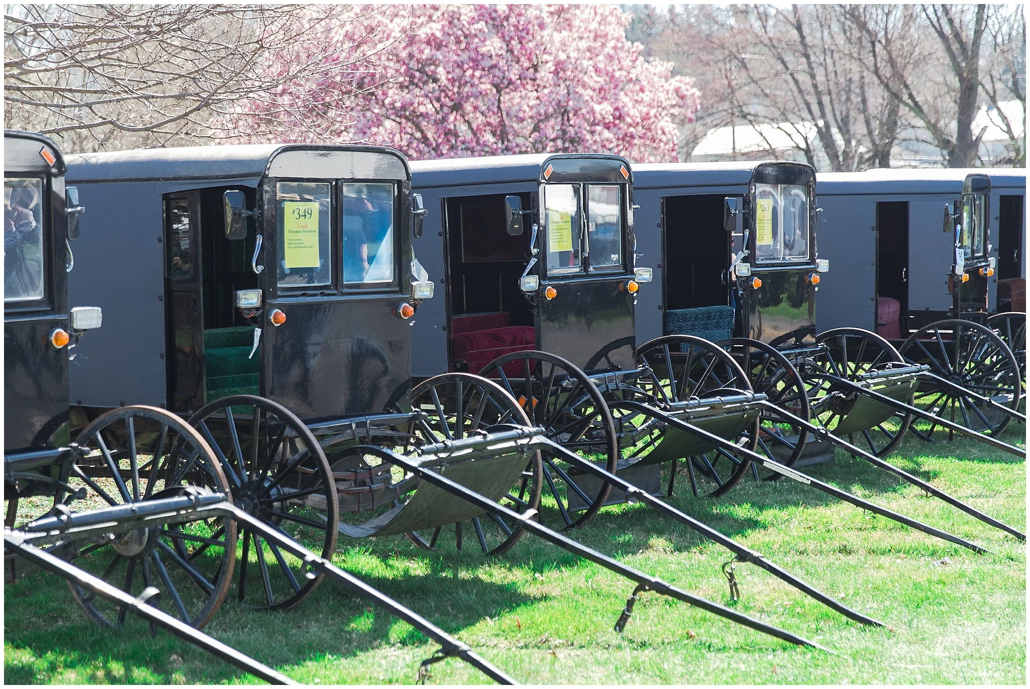 Amish buggies in Lancaster PA