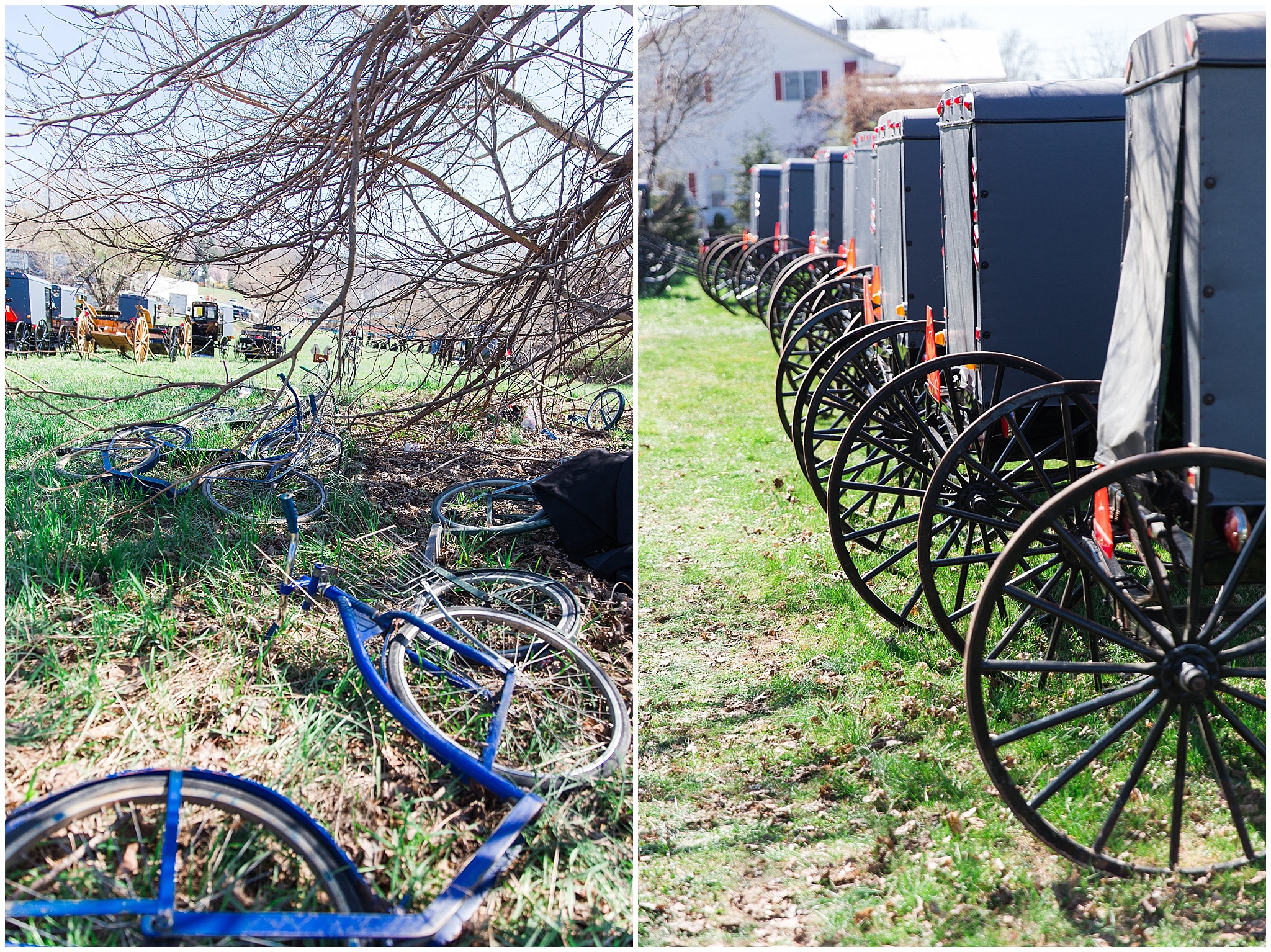 amish_pennsylvania_spring_0077.jpg