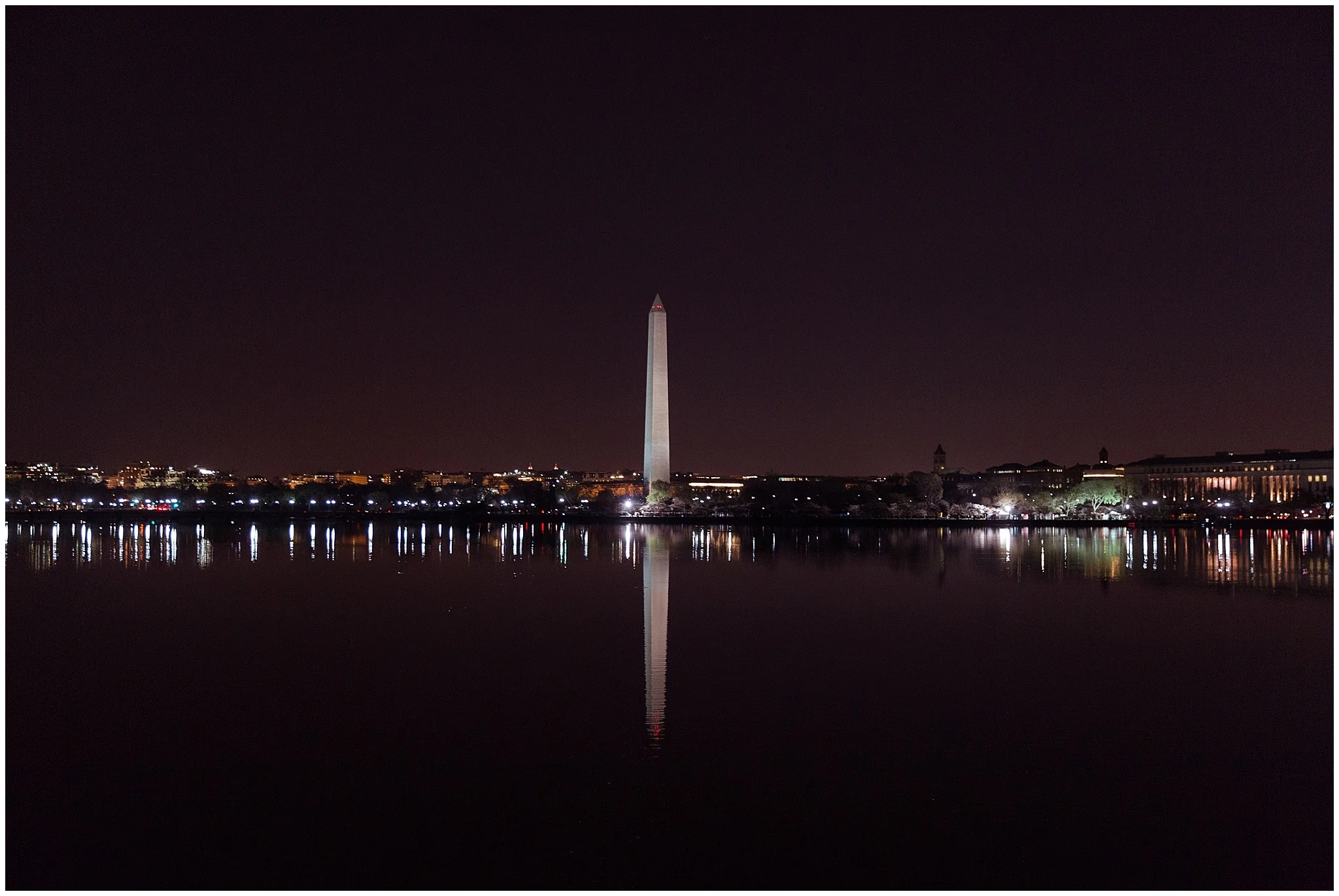 cherryblossom_washingtondc_spring_pink_0011.jpg