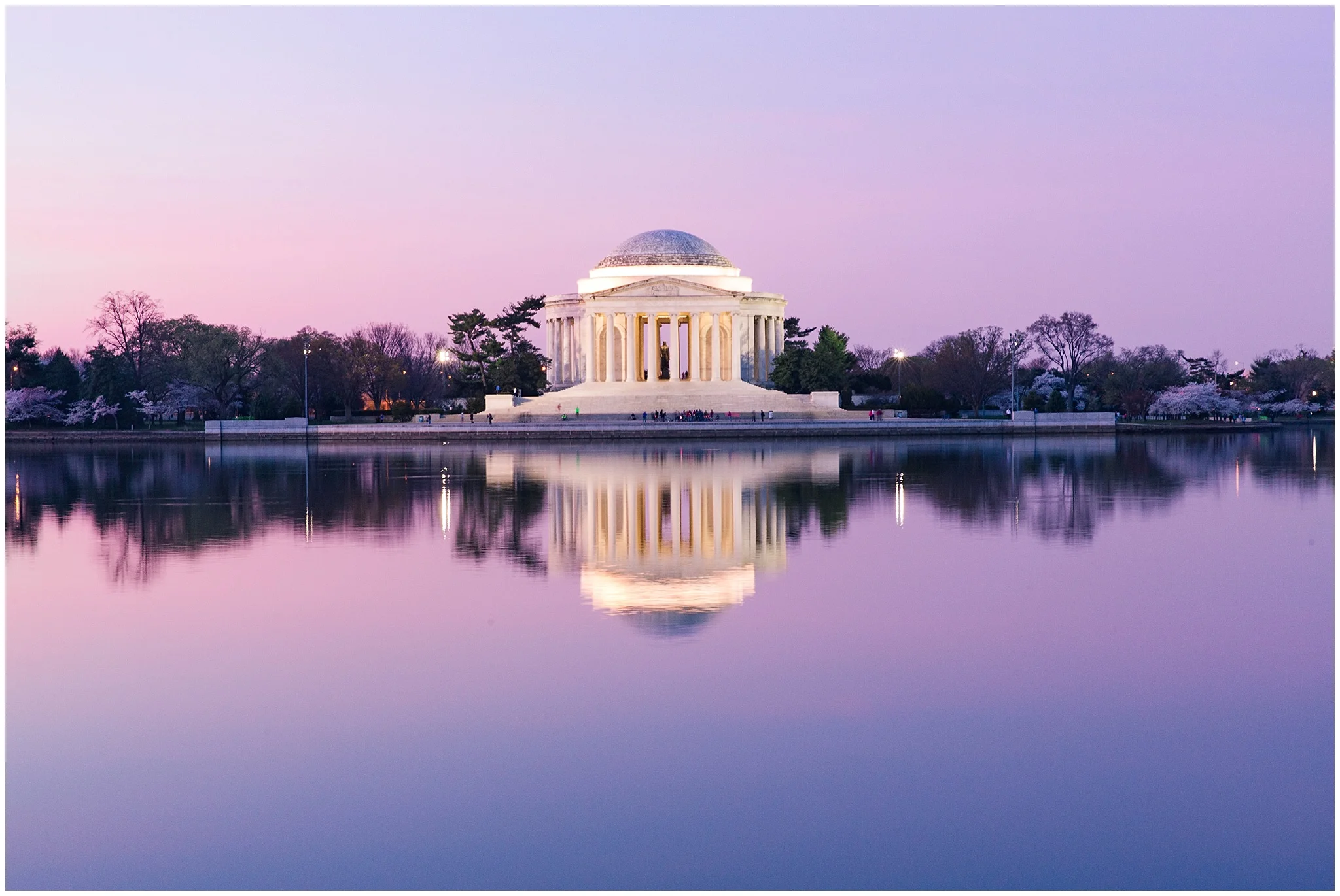 cherryblossom_washingtondc_spring_pink_0016.jpg