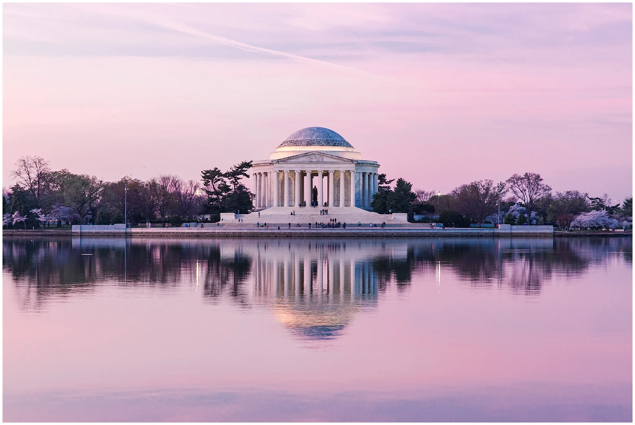 cherryblossom_washingtondc_spring_pink_0021.jpg