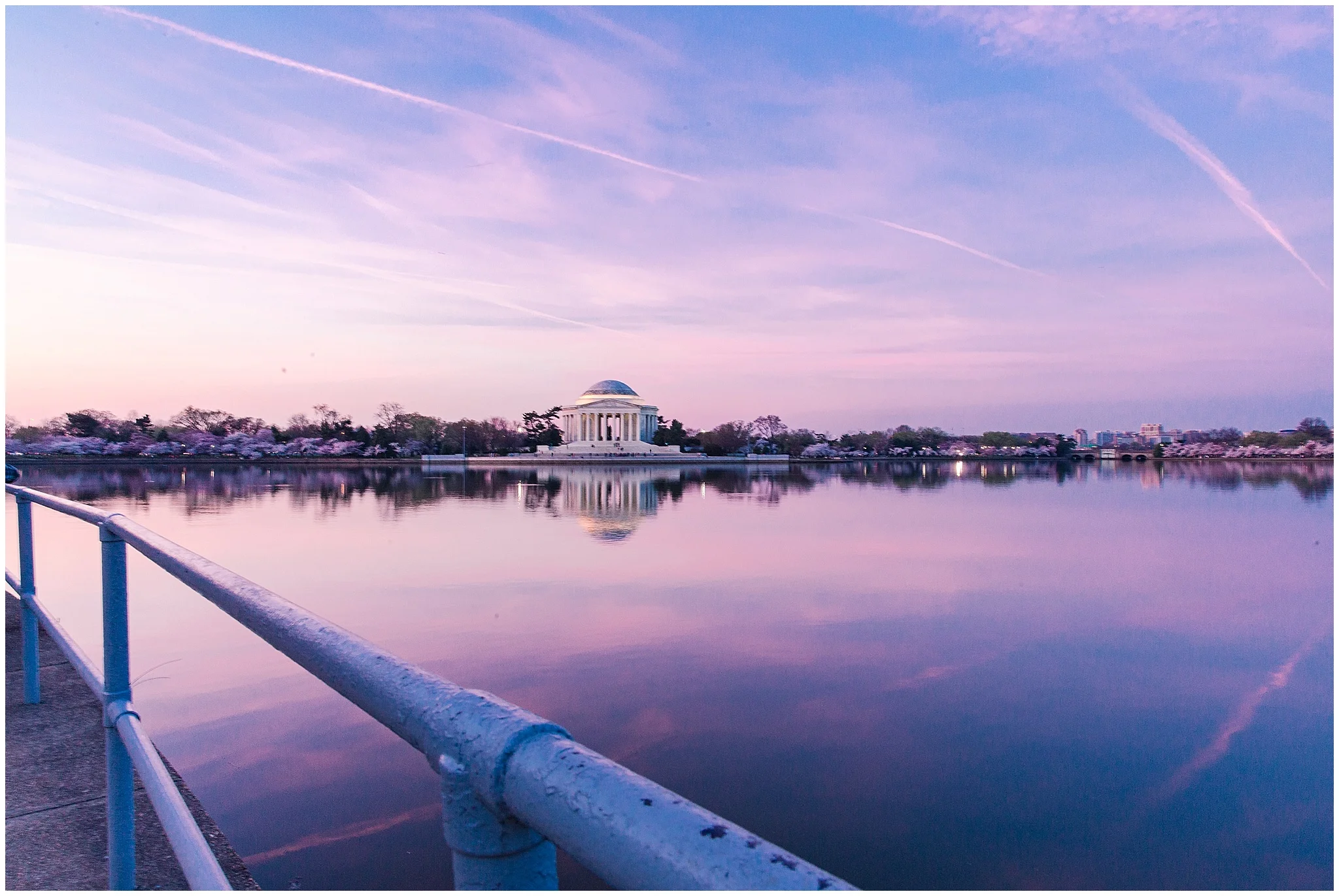 cherryblossom_washingtondc_spring_pink_0022.jpg