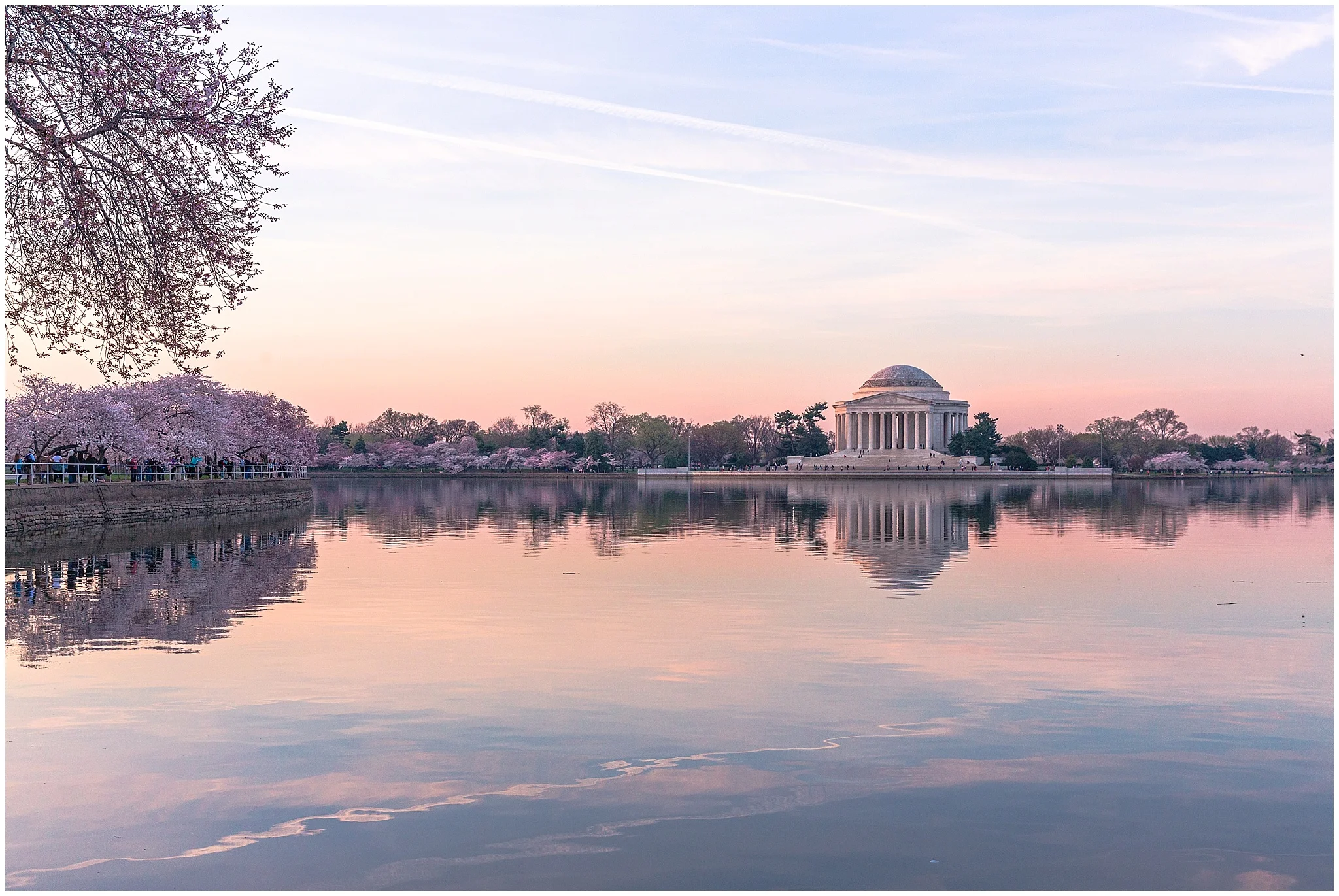 cherryblossom_washingtondc_spring_pink_0033.jpg