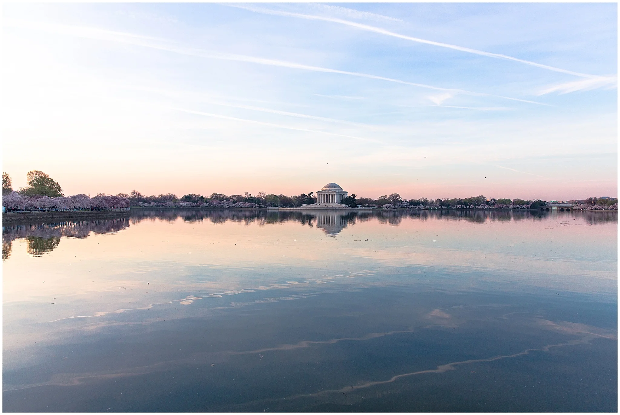cherryblossom_washingtondc_spring_pink_0035.jpg