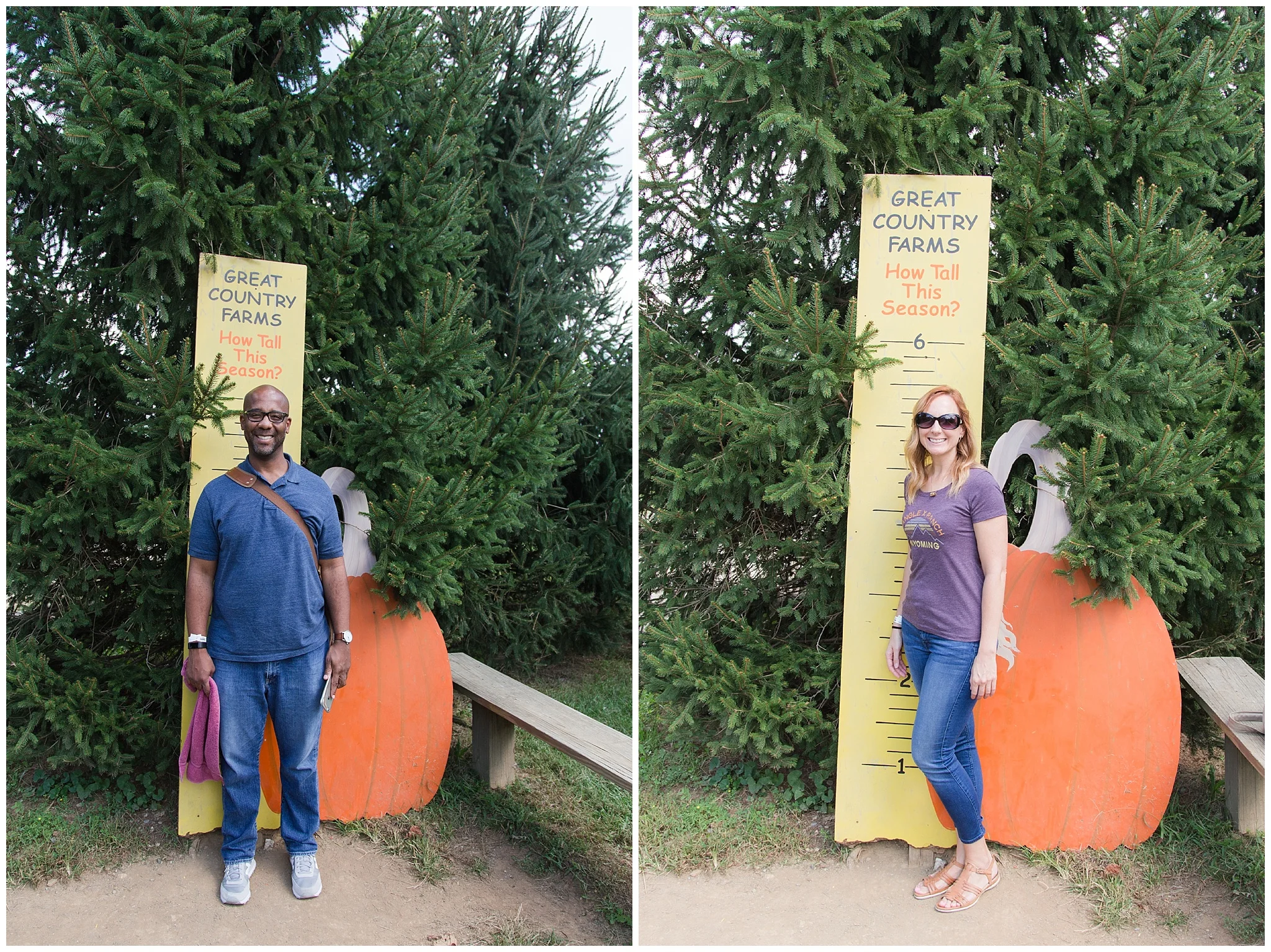 Apple Picking_0002.jpg
