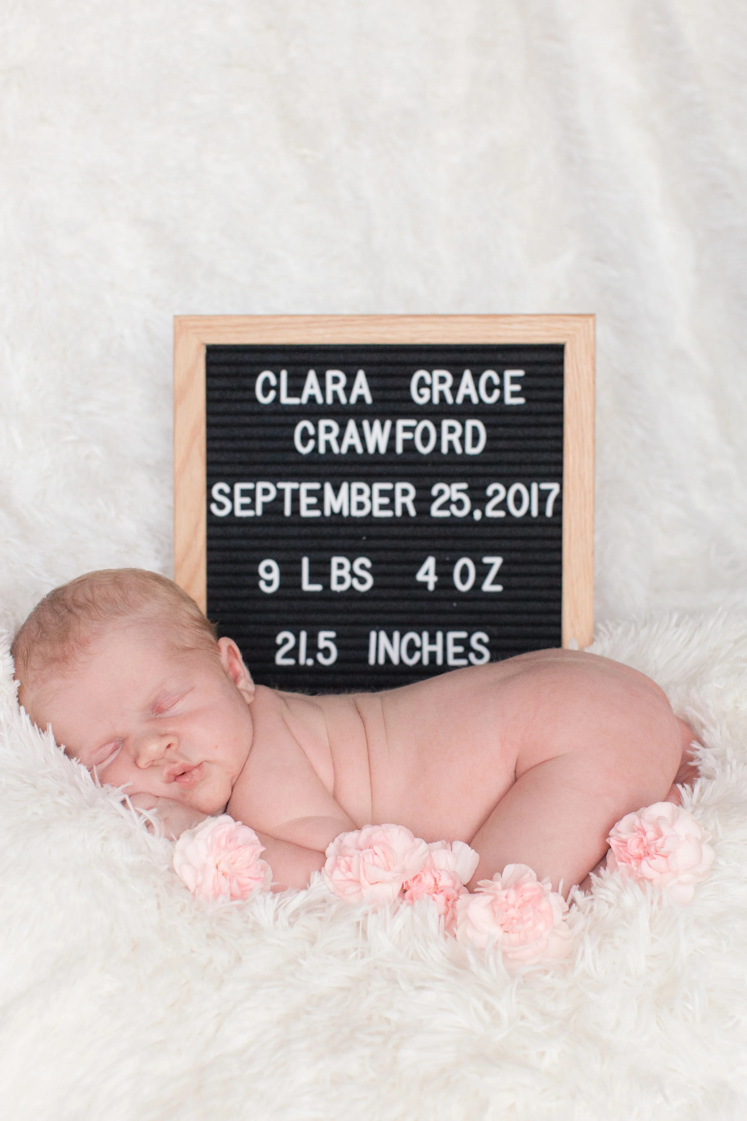 Crawford_BEST_VGF25297_010.jpg