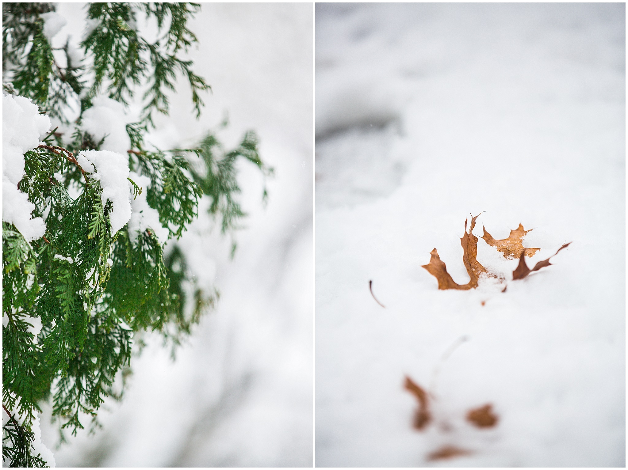 SpringSnow_0009.jpg